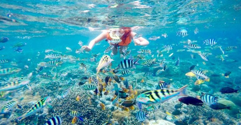 3D2N + Snorkeling Package