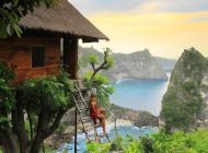 tree-house